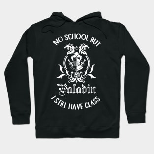 Paladin class rpg gamer summer break Hoodie